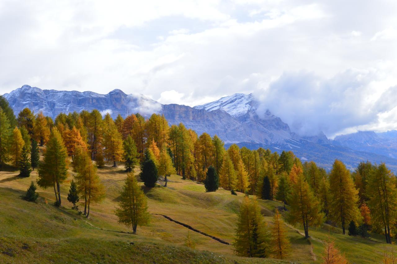 巴迪亚Agriturismo Anvi公寓 外观 照片