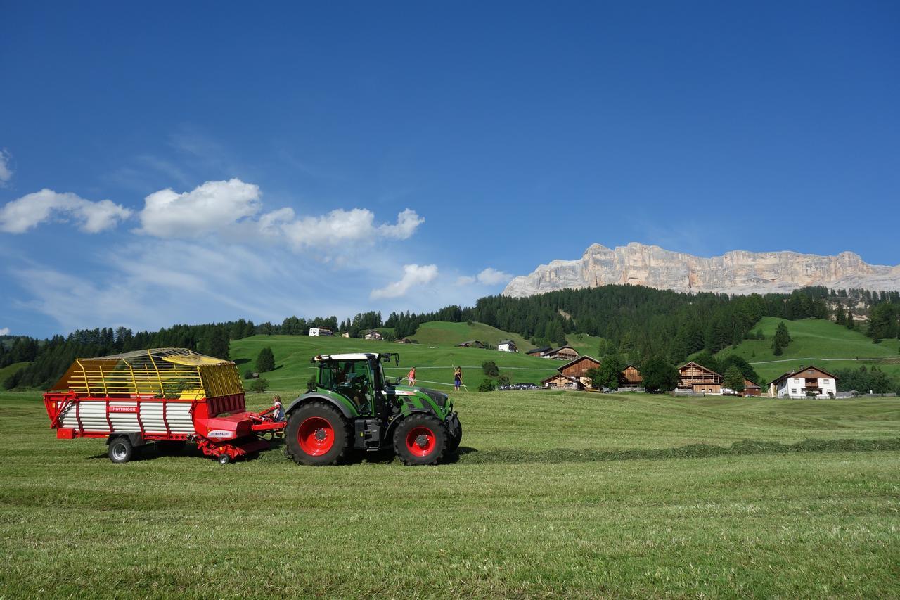 巴迪亚Agriturismo Anvi公寓 外观 照片